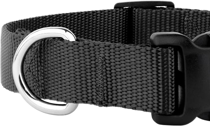 Country Brook Petz - Everyday Nylon Dog Collar and Leash - 10+ Cool Colors (3/8 Inch, 2XS, Black)