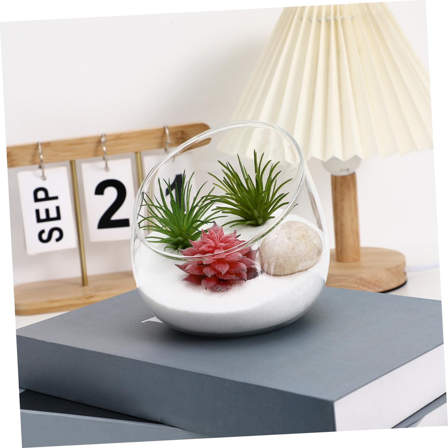 Abaodam 1Pc Transparent Succulent Bottle Decor Micro Landscape Glass Bottle for Home Store for Air Plants Moss Terrariums Elegant Decoration for Space
