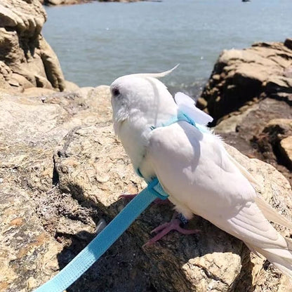 Pet Parrot Bird Harness Leash Adjustable Bird Flying Harness Traction Rope with Cute for Parrots Budgerigar Lovebird Cockatiel Mynah Outdoor Training Toy (Mannikin/Finch,White)