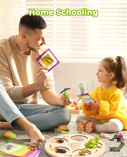 JoyCat Life Cycle Learning Education Toys, Insect Caterpillar to Butterfly kit, Ladybug, Bee, Tadpole to Frog Kit Life Cycle Toys for Kids, Preschool Learning Activities for Age 3 4 5 6 7 8