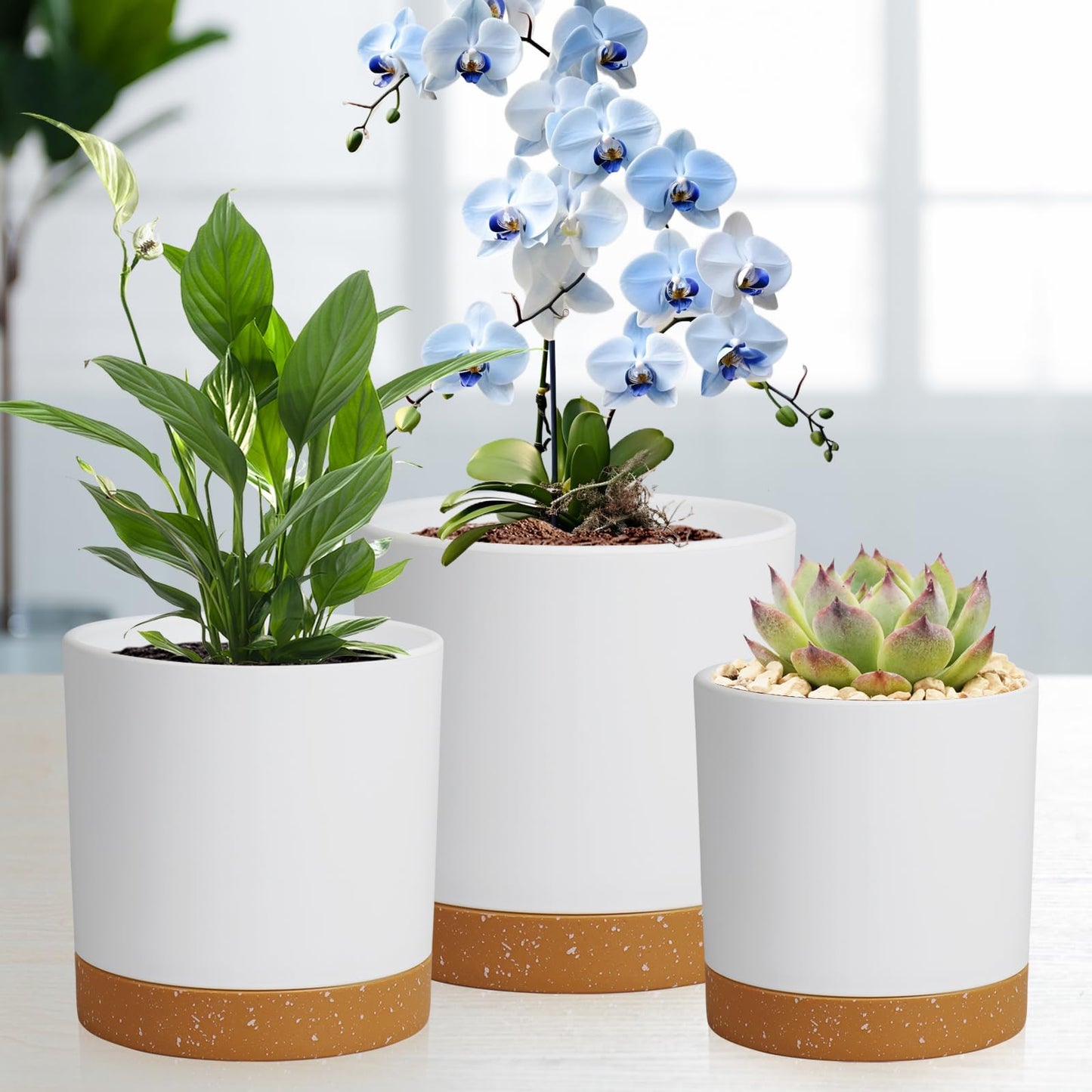 WSMKSZ 5 Pack Cylindrical Flower Pots with 7/6.5/6/5/4 inch, Modern Small Plastic Plant Pots with Drainage Holes & Saucers, Round Planter Pots for Outdoor, Indoor & Office Decor (White Brown)