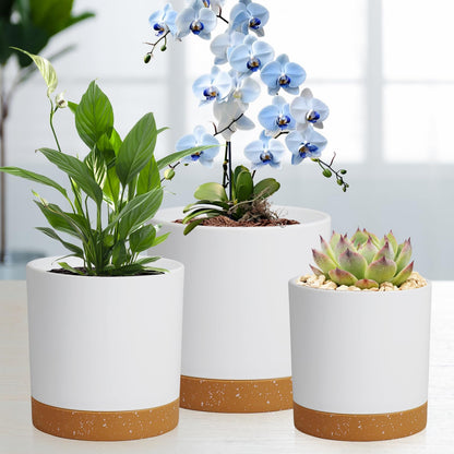 WSMKSZ 5 Pack Cylindrical Flower Pots with 7/6.5/6/5/4 inch, Modern Small Plastic Plant Pots with Drainage Holes & Saucers, Round Planter Pots for Outdoor, Indoor & Office Decor (White Brown)