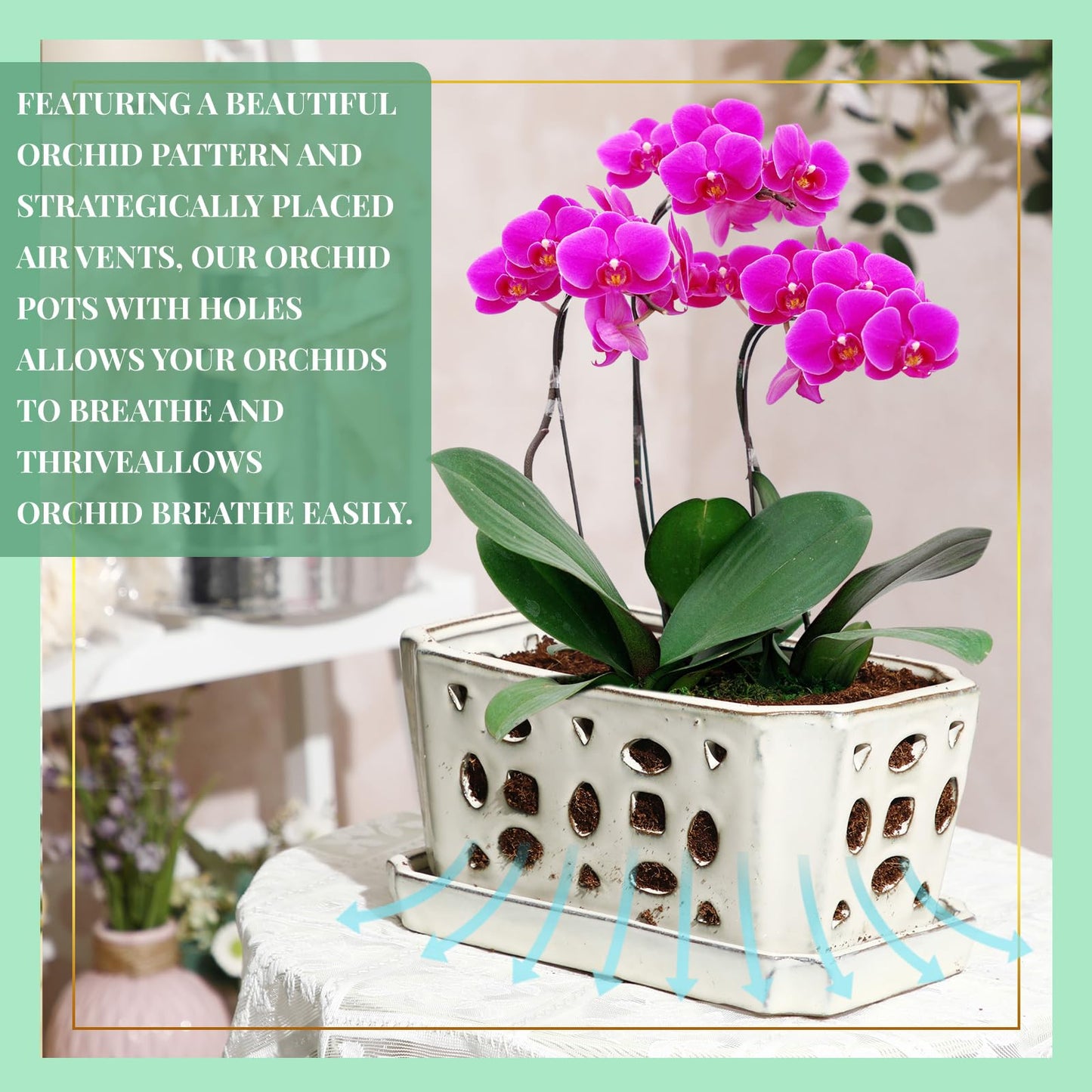 Teenyyou 1 Set Orchid Pot with Holes 9.5 Inch Ceramic Orchid Pot with Saucers for Repotting Amaryllis Flower Planter Include Gardening Shovel Set and Gloves for Home Decor(White)