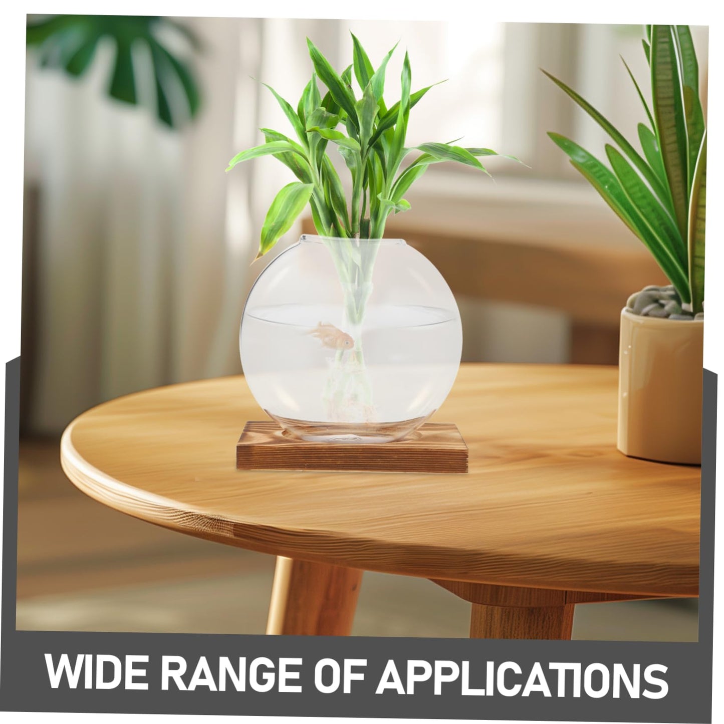 Kisangel Hydroponic Propagation Vase with Wooden Base Small Glass Terrarium Planter for Indoor Plants Decorative Desktop Garden Home Office Tea Ceremony Decor