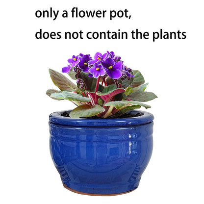 Dphagesy African Violet Pots Self Watering Round Ceramic Violet Pot (Blue, 6 inch)