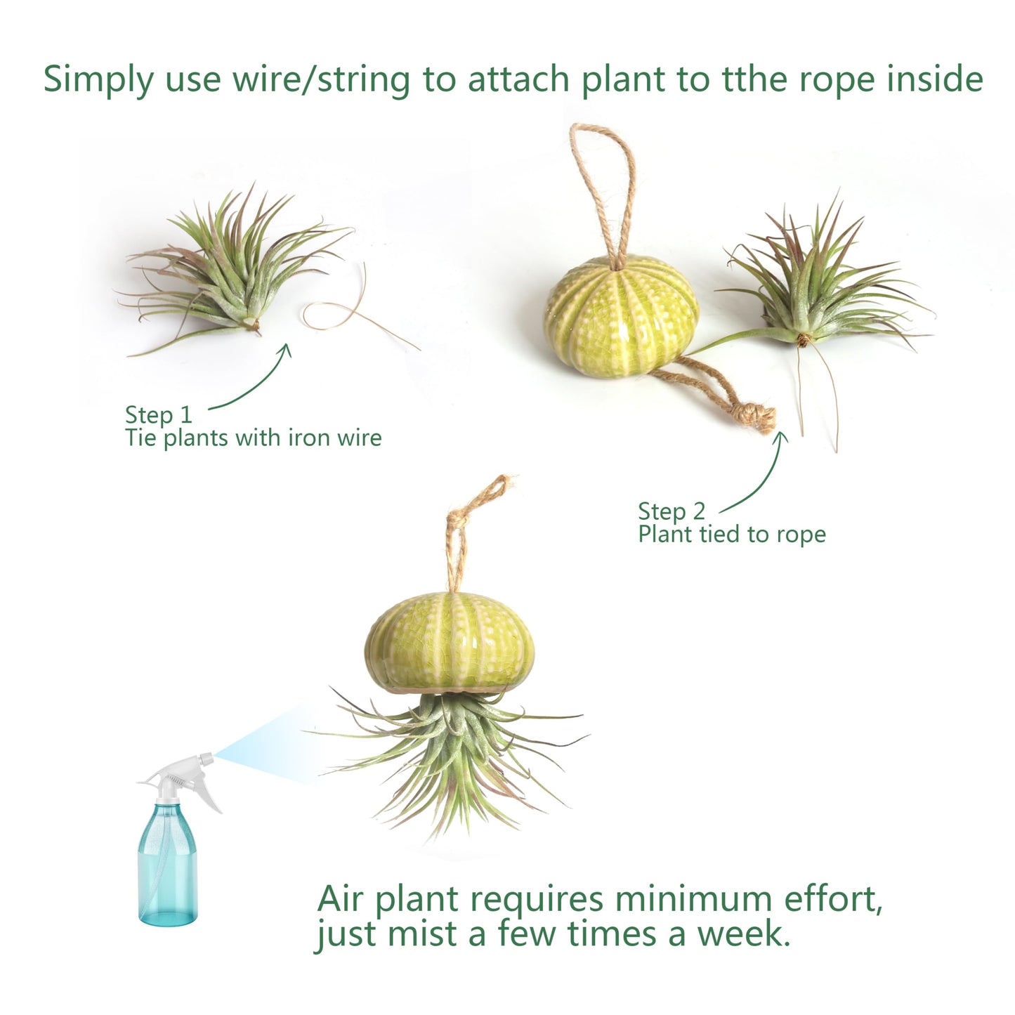 Gniliny 8 Pack Ceramic Air Plant Cradle with Rack: Indoor/Outdoor Hanging Planters - Air Plant Display Container for Home Office Garden