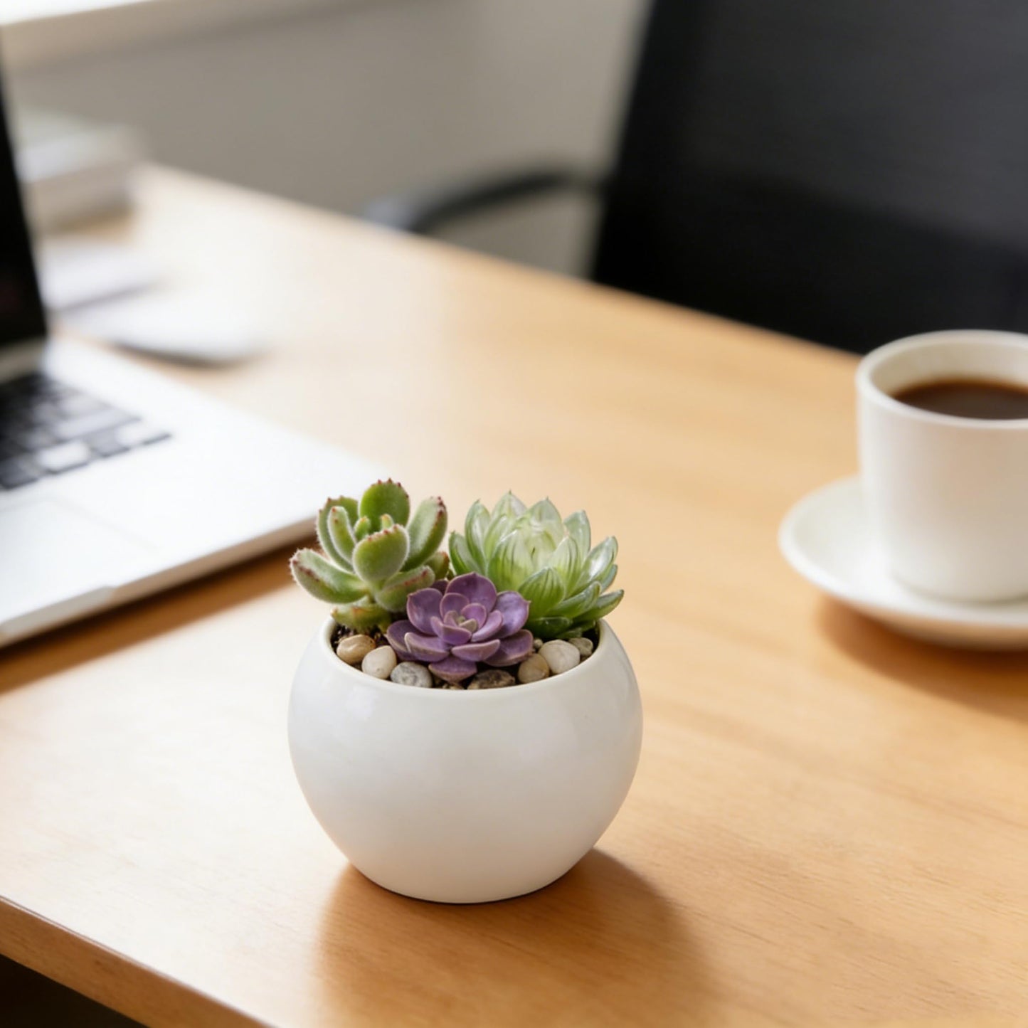 NEONWE White Spherical Ceramic Planter Succulent Small Plant Pots Indoor Modern Round Decorative Indoor-Outdoor Garden Plant Pots with Drainage Holes - Plants Not Included 3.94 x 3.94 x 3.15 Inch