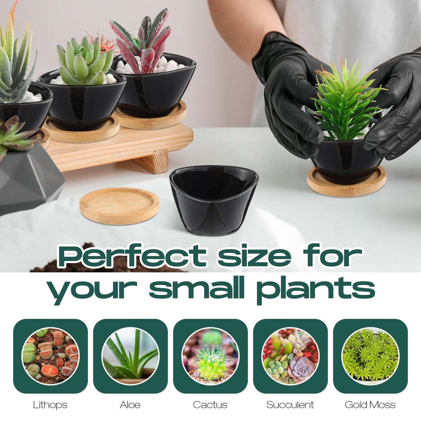 Domensi 24 Pack Succulent Planter Pots 3 Inch Small Plant Pots Mini Ceramic Succulent Planter Holder with Drainage Holes and Bamboo Saucers(Black)