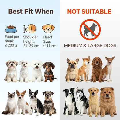 Elevated Dog Bowls for Food and Water - Double Ceramic Bowls with Metal Stand - Pet Feeding Set for Small Dogs and Cats - Each Holds 400ml / 2 Cups (Approx. 200g) - White