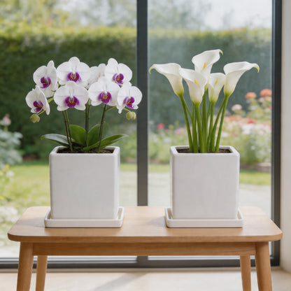 White Ceramic Plant Pots with Saucers, 6 Inch Square Planter Pots Set of 2, Modern Minimalist Medium Flower Pots for Indoor Plants, Snake Plants, Monstera, Home Decor