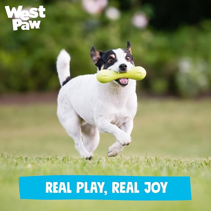 WEST PAW Zogoflex Hurley Dog Bone Chew Toy – Floatable Pet Toys for Aggressive Chewers, Catch, Fetch – Bright-Colored Bones for Dogs – Recyclable, Dishwasher-Safe, Non-Toxic, Small, Tangerine