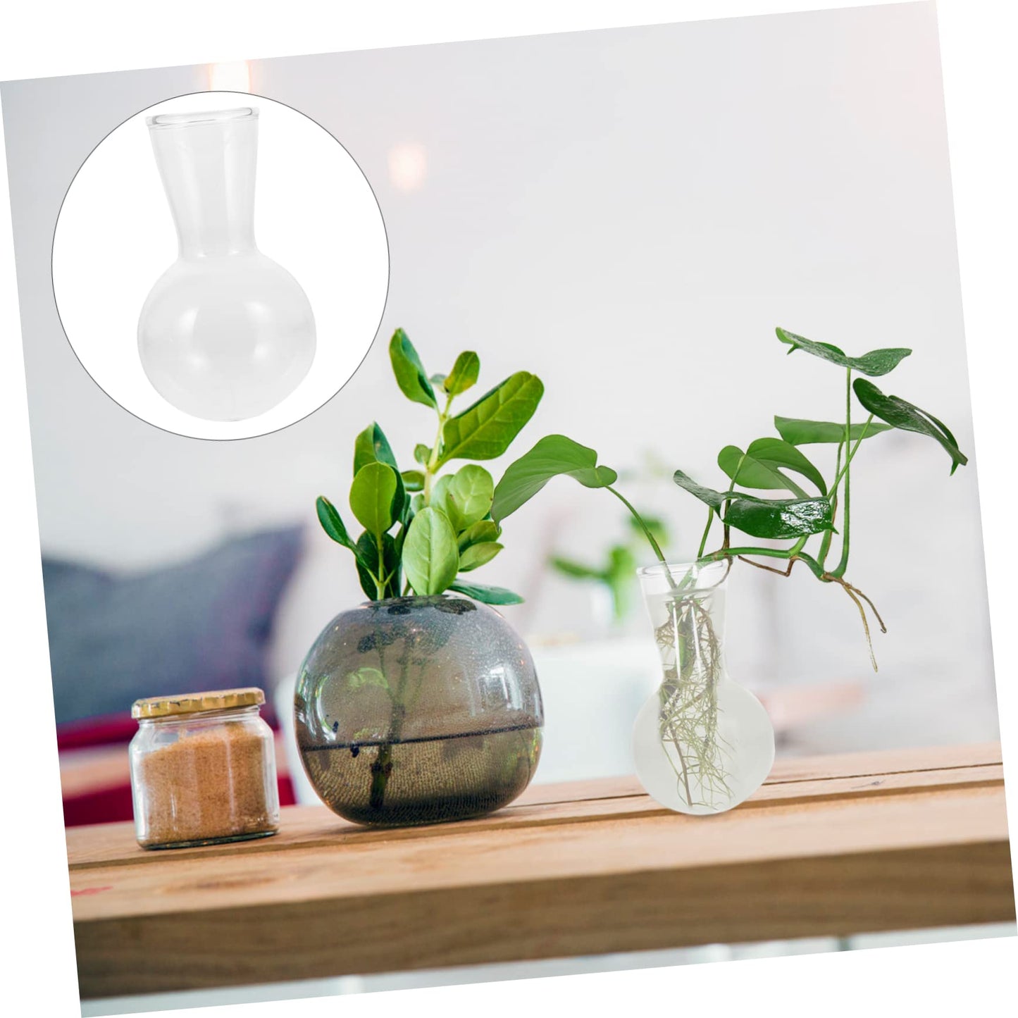 IWOWHERO Unique Plant Terrarium Creative Glass Vase Bulb for Decorative Home Office