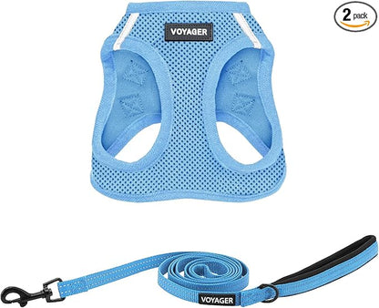 Best Pet Supplies Voyager Step-in Air All Weather Mesh Harness and Reflective Dog 5ft Leash Combo with Neoprene Handle, for Small, Medium and Large Breed Puppies - Baby Blue, Large
