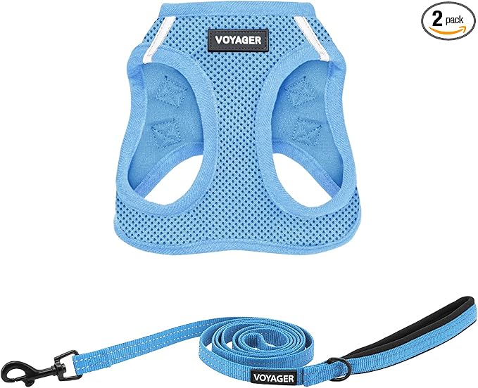 Best Pet Supplies Voyager Step-in Air All Weather Mesh Harness and Reflective Dog 5ft Leash Combo with Neoprene Handle, for Small, Medium and Large Breed Puppies - Baby Blue, XX-Small