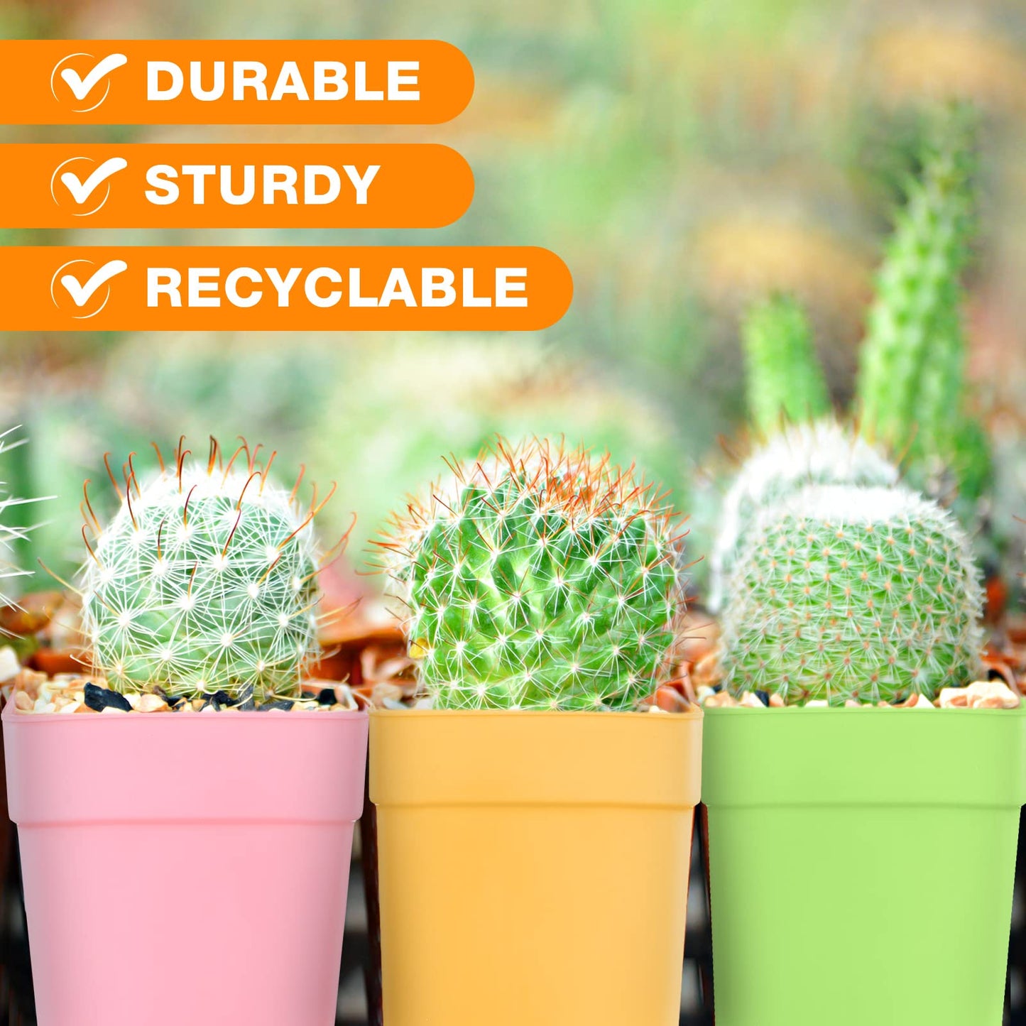 Amyhill 100 Pcs 4 Inch Flower Pots Square Plants Nursery Pot Plastic Plant Seedling Pots Small Nursery Transplanting Planter Container with Saucer for Indoor Succulent Balcony Garden (Classic Color)