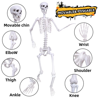 Wocst 6Ft Life Size Skeleton Posable Skeleton with Movable Joints Halloween Full Body Plastic Human Bones with 2PCS Black Crows for Halloween Indoor Outdoor Decor