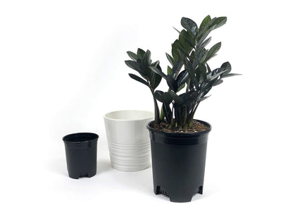 10 Pack Plastic Black Plant Pots Nursery Gardening Planters 4 in to 7.5 Inch Small Medium Plants 0.25 0.35 0.5 1 1.5 Gallon for Indoor and Outdoor Plants