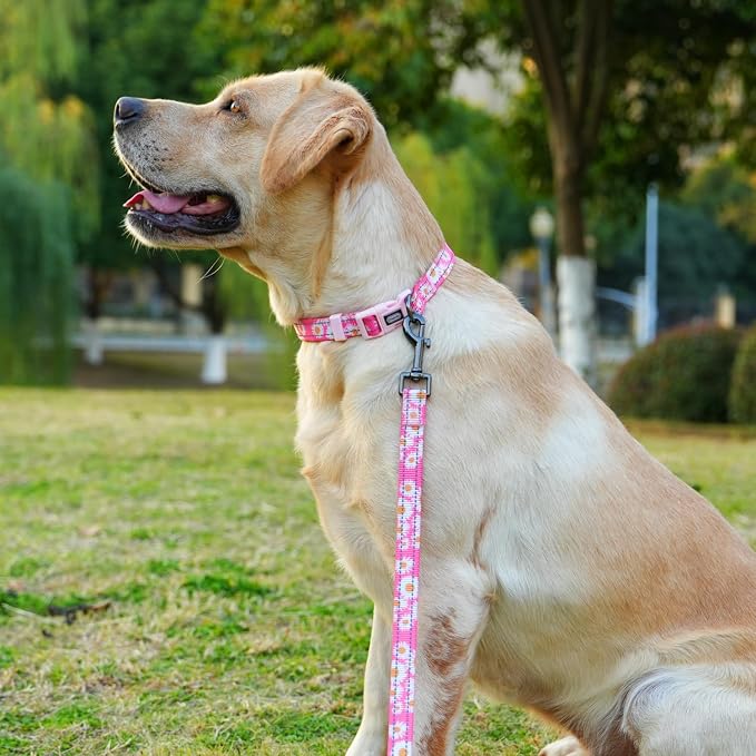 Dog Collar Leash Set, Floral Pattern, with Safety Reflective Strips, 5 ft Matching Leash, Neoprene Padded Handle, Adjustable 4 Sizes for Small Medium Large Dogs.(S, Pink Daisy)