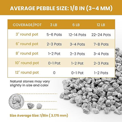 1/8 Inch Aquarium Gravel, Small Pebbles for Fish Tank & Indoor Plants, Natural Mini River Rocks for Succulent Soil Mix, Drainage, Terrarium & Vase Filler - Gray, 12 lb