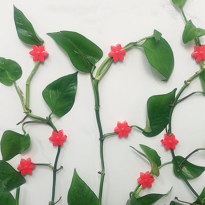 RENUIS 100 Pcs Plant Wall Clips with Acrylic Adhesive Sticker, Plant Climbing Wall Fixture Clips, Plant Support Clips, Self-Adhesive Hook Vine Plant Clips for Indoor Outdoor Decorations (Rose-Orange)