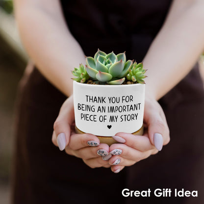 ROXMART Thank You Gifts Plant Pots, Appreciation Gifts for Women Succulent Planters, Thank You for Being Piece of My Story Ceramic Plant Flower Pots for Home Office Desk Table Shelf(No Plants)