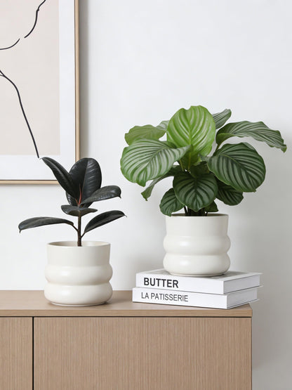 FUYHE 6 Inch Plant Pot,Ceramic Planter Pot with Drainage Hole,Indoor Planters for Herbs Plants,Ceramic Flower Pots for Indoor/Outdoor Plants,Home Office Garden Décor,Cream White