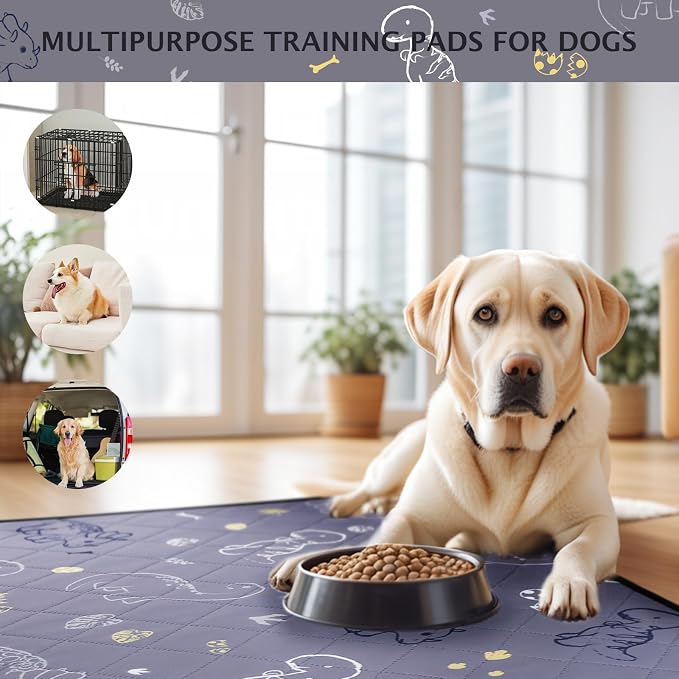 IEUUMLER Washable Pee Pads for Dogs, 2 Pack Non-Slip & Waterproof Pack Whelping Pad, Reusable Washable Puppy Potty Training Pad with Fast Absorbent for Playpen EU007 (Gray Dinosaur, 42"X28"-2pcs)
