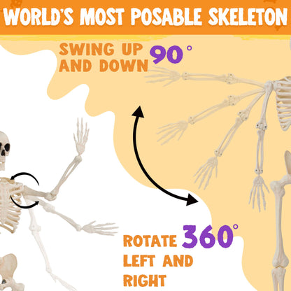 JOYIN 2PCS 36" Halloween Skeleton Decor, 3FT Full Body Stayable Movable Joints, Posable Hanging Skeletons for Halloween Decoration, Yard, Graveyard, Haunted House Props, Spooky Scene Party Favor