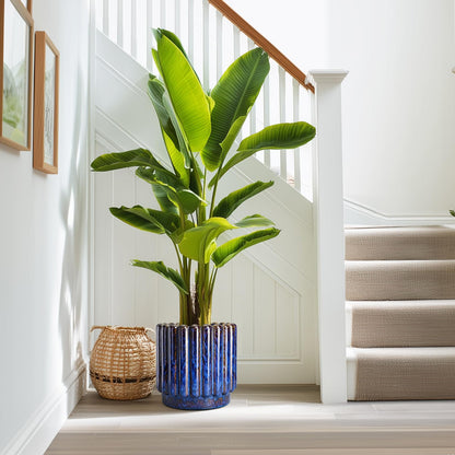Ceramicfor Ceramic Planter - 9.6 Inch Ceramic Plant Pots Indoor Outdoor, Round Flower Pots with Drainage Hole, Large Fluted Modern Planter, Room Home Bedroom Decor, Plant Lover Gifts, Blue