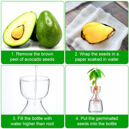 3 Pcs Acorn Vases Glass Avocado Vase Avocado Glass Vase for Growing, Hydroponics Terrariums Pot Deco Indoor Bulb Vasees Propagation Vases for Home Table Desk Indoor Decor Gardening Lover Gifts