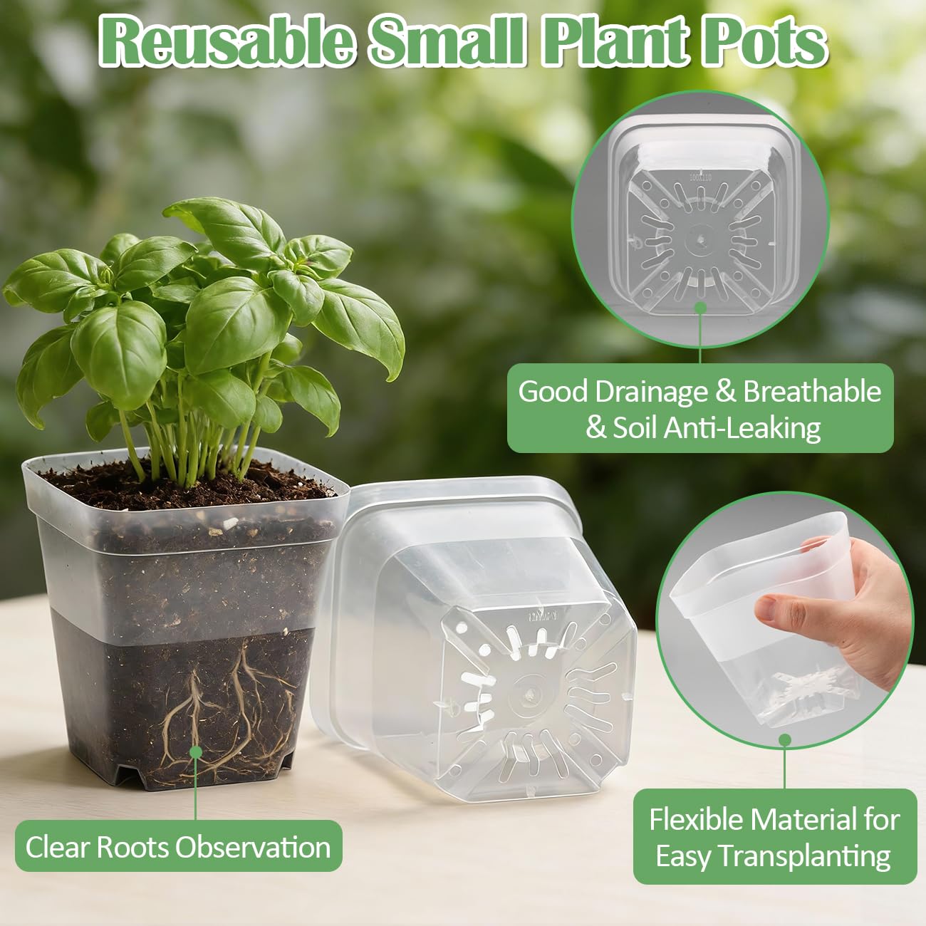 RooTrimmer 60 Pcs Clear Square Nursery Pots 4 Inch, Reusable Seedling Pots with Drainage Holes, Transparent Small Plant Potting Pot Containers for Seedlings Microgreens, Flowers, Indoor Gardening