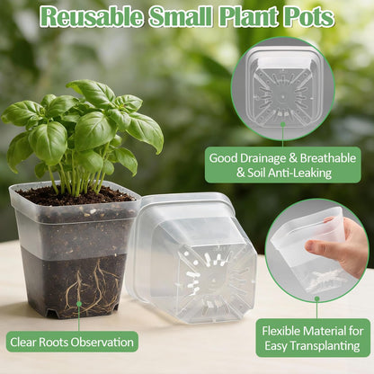 RooTrimmer 60 Pcs Clear Square Nursery Pots 4 Inch, Reusable Seedling Pots with Drainage Holes, Transparent Small Plant Potting Pot Containers for Seedlings Microgreens, Flowers, Indoor Gardening