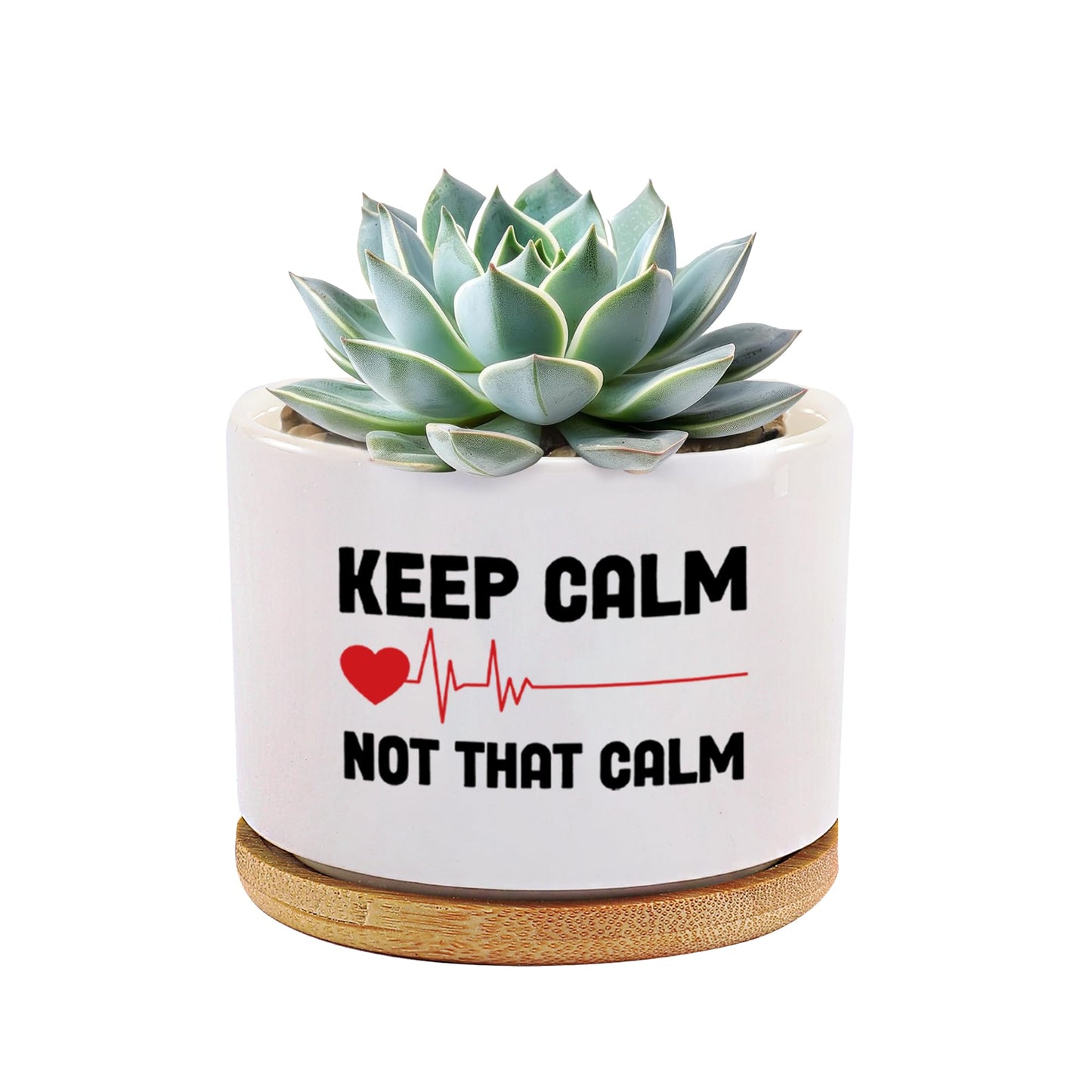 Keep Calm Not That Calm Nurse Gifts Ceramic Succulent Plant Pot Round Doctor EMT Nursing Student Cardiologist Home Office Decor Plant Lover 3.5 Inch White (No Plants) (with Bamboo Tray)