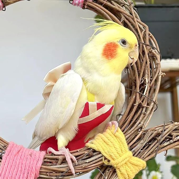 Bird Flight Suits Diapers, Parrot Flight Suits Diapers for Quaker Parakeets Cockatiels Conures Macaw African Grey, Bird Diaper, Parrot Clothes (Pink A,S)