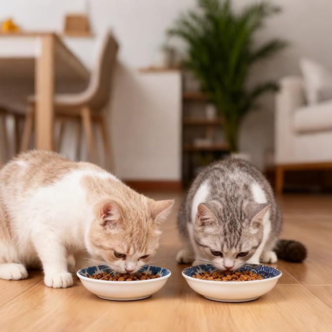HAPPY KIT Ceramic Cat Bowls for Food 2pcs,5.75 inch with Non-Slip Silicone Bottom for Indoor, 8.5oz Cat Dish/Dishes,Wide Shallow Whisker Friendly