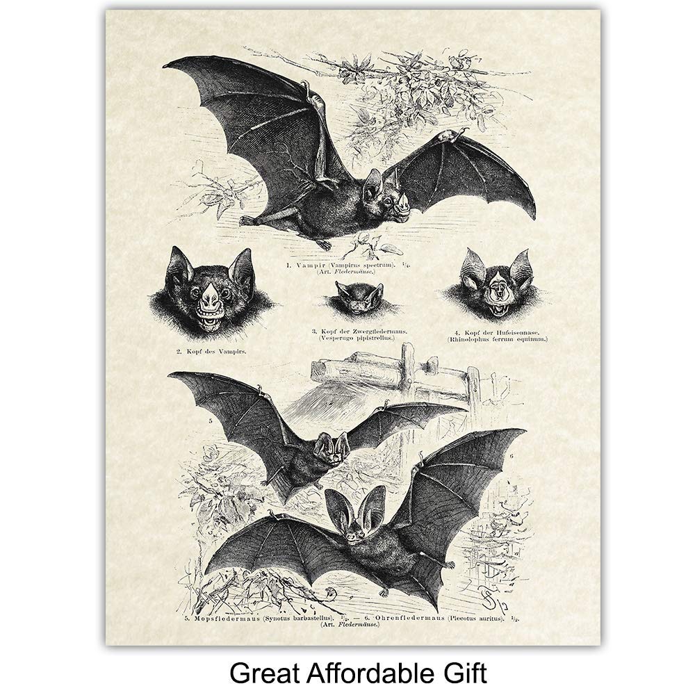 Bats Wall Decor - Bat Decorations - Bat Decor for Home - Creepy Gothic Wall Art - Goth Picture - Pagan Gifts - Gothic Artwork