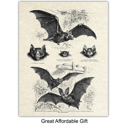 Bats Wall Decor - Bat Decorations - Bat Decor for Home - Creepy Gothic Wall Art - Goth Picture - Pagan Gifts - Gothic Artwork