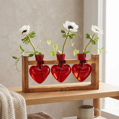 Generic Heart Shaped Propagation Station, 3 Glass Vases Plant Terrarium Kit with Wooden Stand for Hydroponic Plants Home Office Decor Present for Women