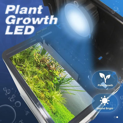 Small Fish Tank, 2 Gallon Glass Aquarium, Betta Fish Shrimp Goldfish Tropical Fish Starter Kit Self Cleaning with Filter & LED Plant Light, Ultra-Quiet Kids Room Decoration Fish Tank