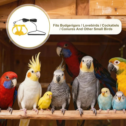 Bird Harness Leash, Adjustable Pet Parrot Bird Harness and Leash Lightweight Anti-Bite Flight Training Rope with Cute Wing, (Yellow, M), Intended for Parrots/Pigeons/Budgies