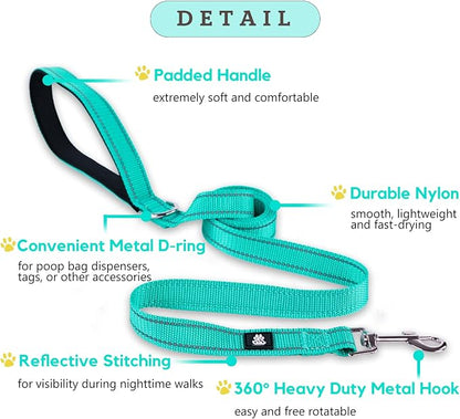 FURRYFECTION Reflective Dog Collar and Leash Set with Quick Release Buckle, Padded with Neoprene Adjustable Nylon Dog Collar for Small Medium and Large Dogs (Large Collar+5FT Leash, Teal)