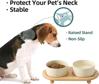 Havniva Raised Cat Bowls Water Bowl 6.1” Elevated Ceramic Cat Food and Water Bowl Whisker Friendly Pet Food Bowls for Indoor Cats, Wide Cat Water Dish Prevent Whisker Fatigue Non Slip Cat Feeder