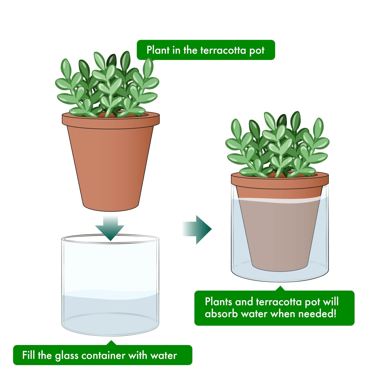D'vine Dev 4 Inch Design Self Watering Pot for Indoor Plants, Terracotta Planter with Cylinder Glass Cup, Set of 4, 37-Z-A-1-F