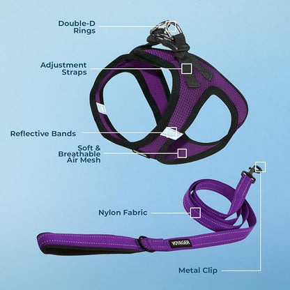 Best Pet Supplies Voyager Step-in Air All Weather Mesh Harness and Reflective Dog 5ft Leash Combo with Neoprene Handle, for Small, Medium and Large Breed Puppies - Purple/Black Trim, XX-Small