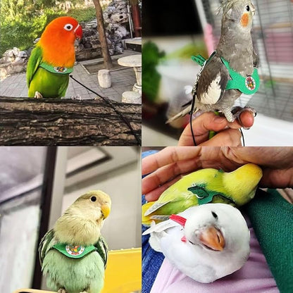 Adjustable Bird Harness & Leash Set for Small Birds,FitsBudgie,Parakeets, Conures, Cockatiels,Green Cheek,Quaker Parrots(Green, L) Z6350-9