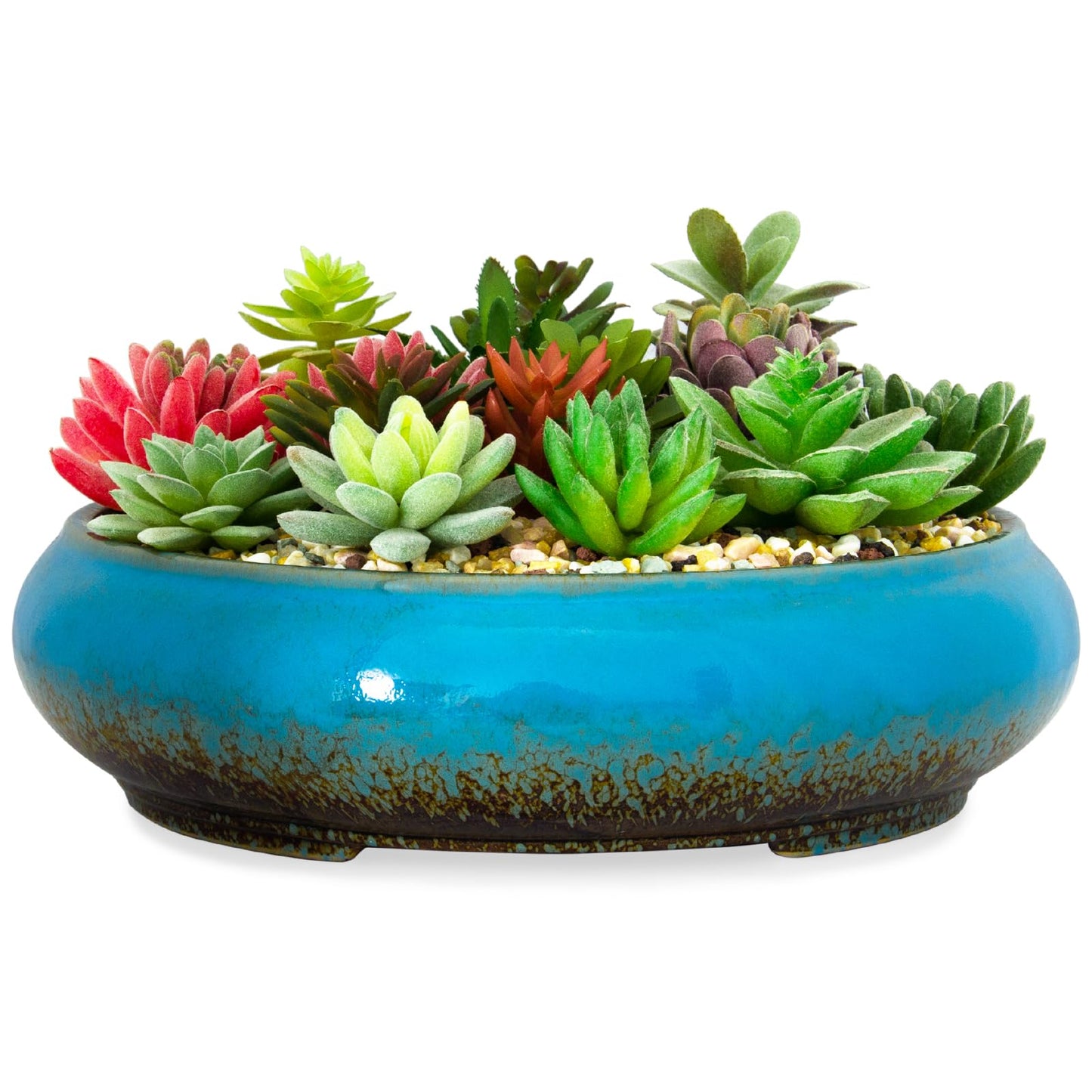 Succulent Pots - 11.5 Inch Ceramic Bonsai Pots with Drainage, Large Shallow Succulent Planters for Indoor Outdoor Plants, Round Glazed Cactus Flower Plant Container Bowl Home Desk Decor(Blue)