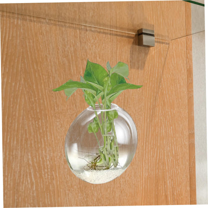 Zerodeko Transparent Glass Wall Hanging Planter Vase for Hydroponic Plants Space Saving Glass Terrarium Container for Indoor Home Decor Easy to Clean and Maintain Suitable for Small