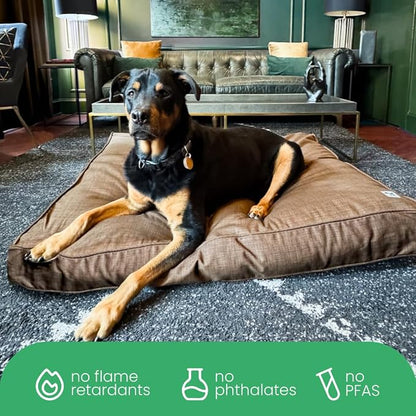 Molly Mutt Woodstock Dog Bed Duvet Cover, GOTS-Certified 100% Organic Cotton Canvas Cover for Dog, Puppy, or Cat Bed, Durable, Washable, and Free of Harmful Chemicals, Small, 22"x27"x5"