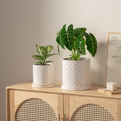 Chubacoo 6 Inch Plant Pot: Ceramic Planter with Drainage Hole & Saucer Indoor Outdoor Plants - Cylinder Round Flower Pot for Home Office - Modern Decorative - Small White