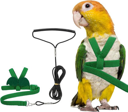 Bird Harness Leash, Adjustable Pet Parrot Bird Harness and Leash Lightweight Anti-Bite Flight Training Rope with Cute Wing, (Green, L), Intended for Parrots/Pigeons/Budgies